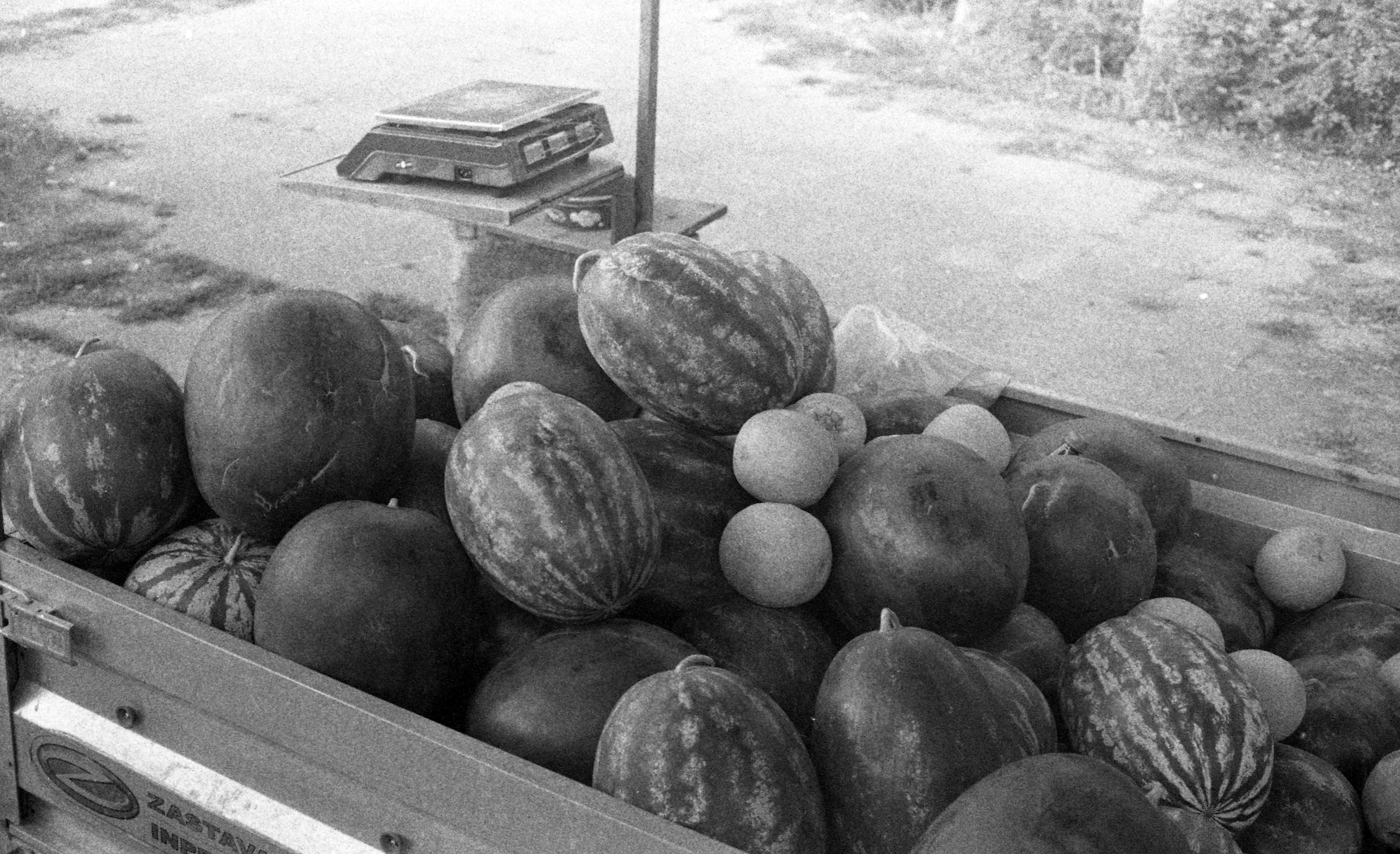 grayscale photo of watermelon fruits